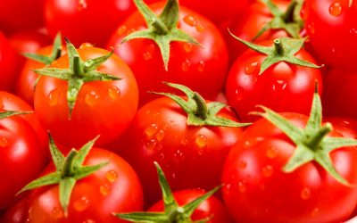 ¿Por qué los tomates no saben a nada?