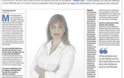 Entrevista en el periódico EL PUNT: Stevia, insectos y cáñamo.