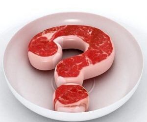 Denominación alimentos y hamburguesa/Burguer Meat: Lo mismo?
